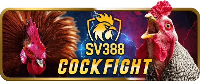 Mạng xã hội 666win login